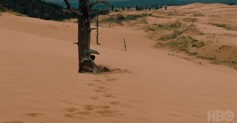 Illustration for article titled This New Westworld Trailer Looks Like a Lot of Things to Us, So Let's Break It Down